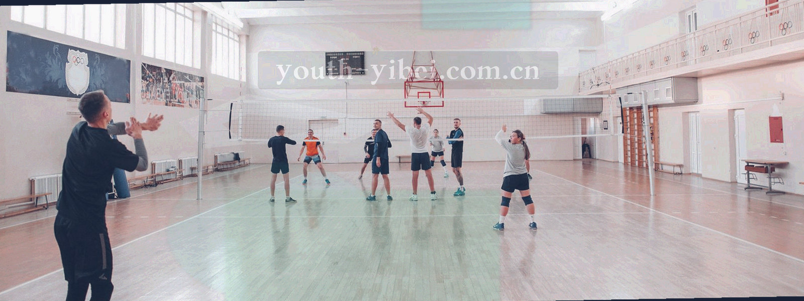 俯拍草地与球场场线纹理，几何感强，画面无人物